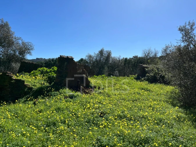 Terreno para Venda em Grândola e Santa Margarida da Serra Foto 5
