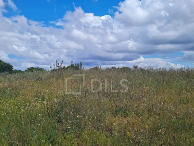 Terreno para Venda em Grândola e Santa Margarida da Serra Foto 11