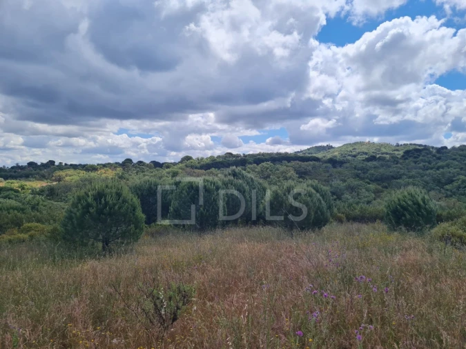 Terreno para Venda em Grândola e Santa Margarida da Serra Foto 22
