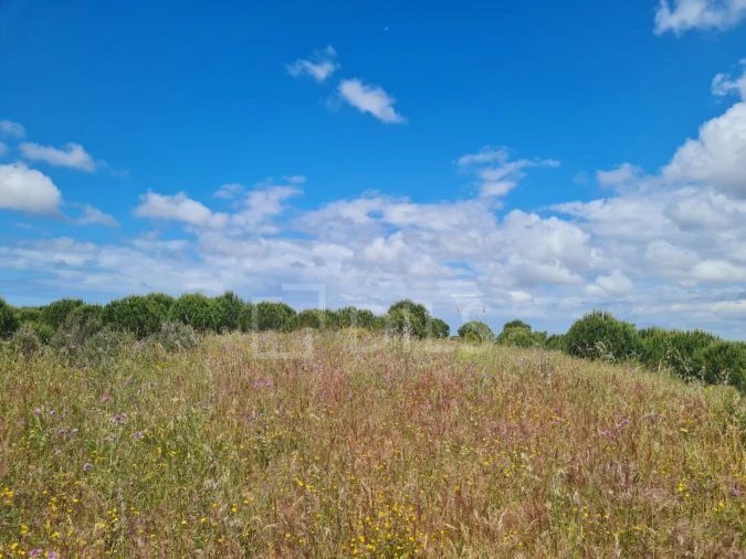 Terreno para Venda em Grândola e Santa Margarida da Serra Foto 25