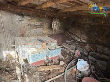 Quinta para Venda em Ermida e Figueiredo
