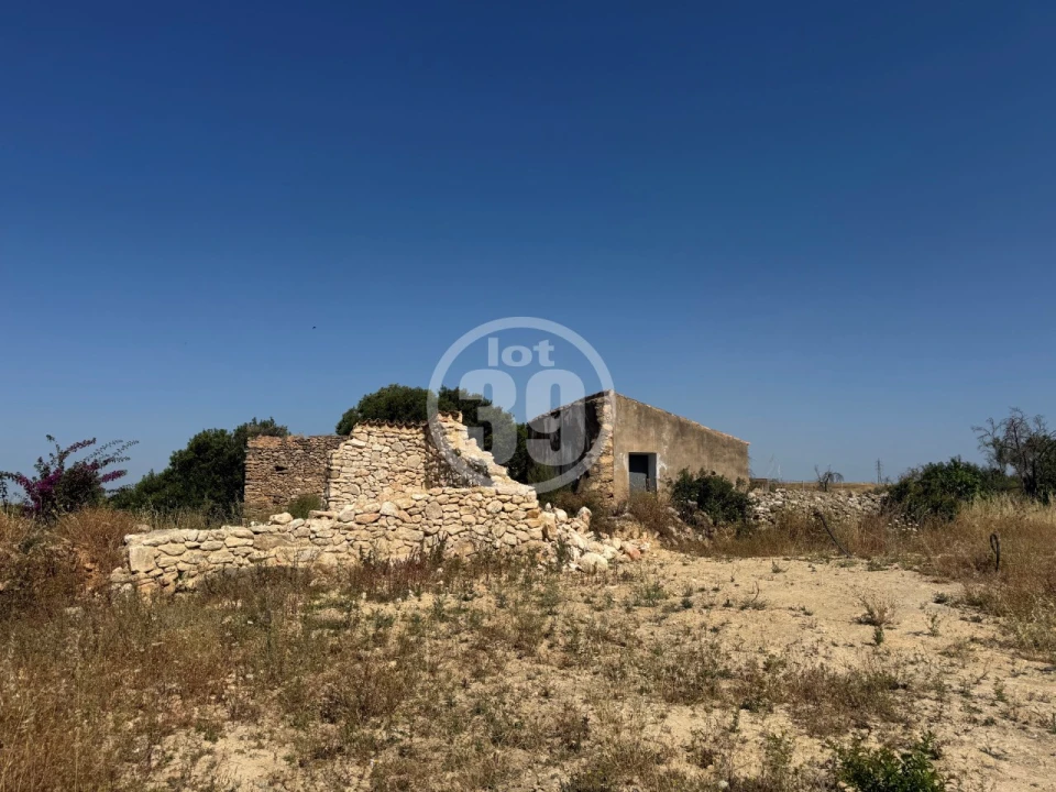 Terreno Misto para Venda em Ferreiras Foto 5