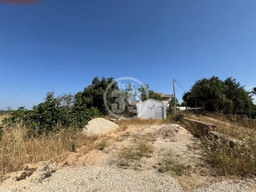 Terreno Misto para Venda em Ferreiras