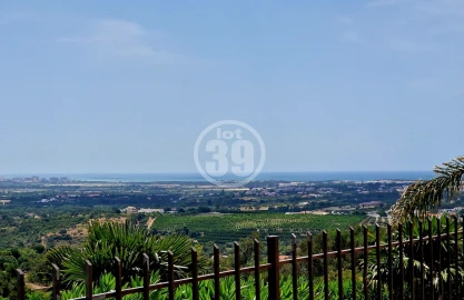 Terreno Misto para Venda em Ferreiras