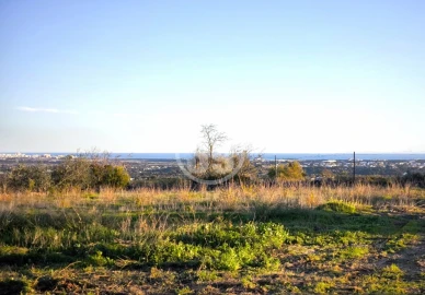 Terreno Misto para Venda em Ferreiras