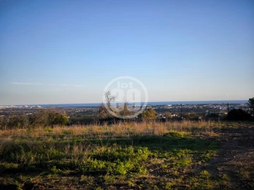 Terreno Misto para Venda em Ferreiras