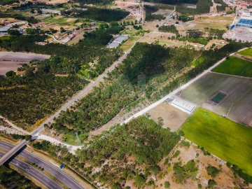 Terreno para Venda em Caldas da Rainha - Santo Onofre e Serra do Bouro