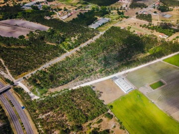 Terreno para Venda em Caldas da Rainha - Santo Onofre e Serra do Bouro