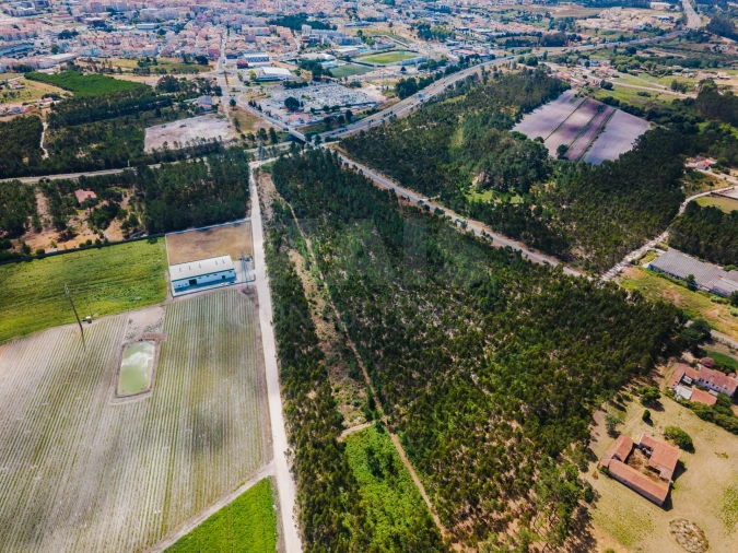 Terreno para Venda em Caldas da Rainha - Santo Onofre e Serra do Bouro Foto 11