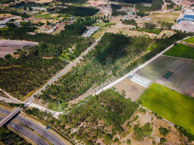 Terreno para Venda em Caldas da Rainha - Santo Onofre e Serra do Bouro Foto 4