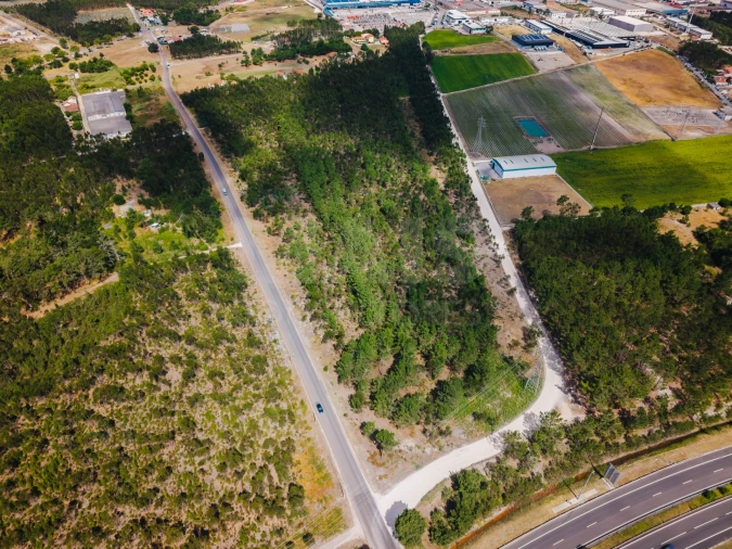 Terreno para Venda em Caldas da Rainha - Santo Onofre e Serra do Bouro Foto 5
