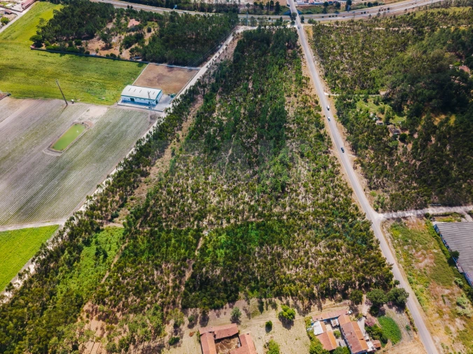 Terreno para Venda em Caldas da Rainha - Santo Onofre e Serra do Bouro Foto 10