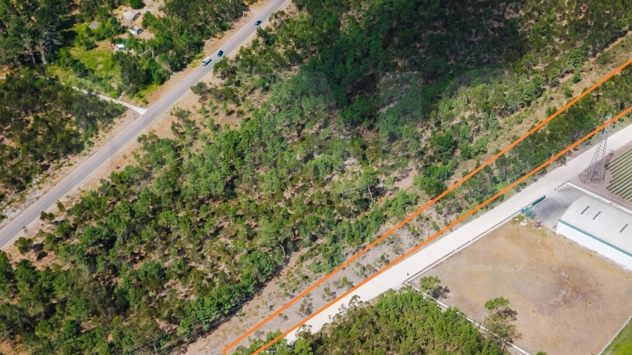 Terreno para Venda em Caldas da Rainha - Santo Onofre e Serra do Bouro