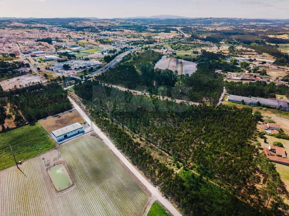 Terreno para Venda em Caldas da Rainha - Santo Onofre e Serra do Bouro Foto 12