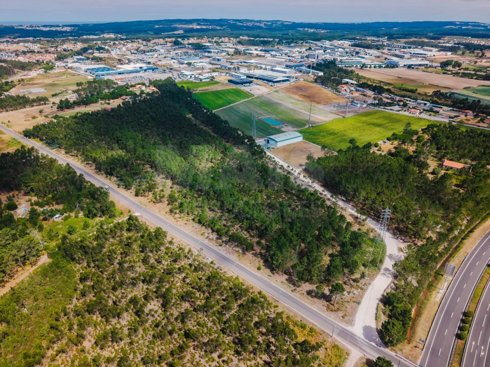 Terreno para Venda em Caldas da Rainha - Santo Onofre e Serra do Bouro Foto 6