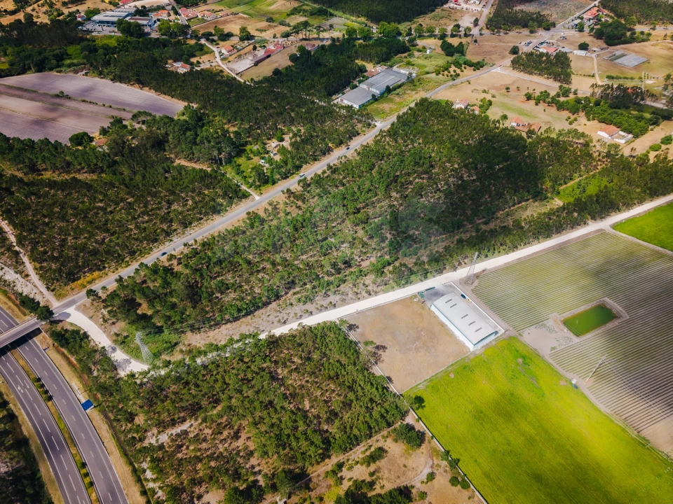 Terreno para Venda em Caldas da Rainha - Santo Onofre e Serra do Bouro Foto 3