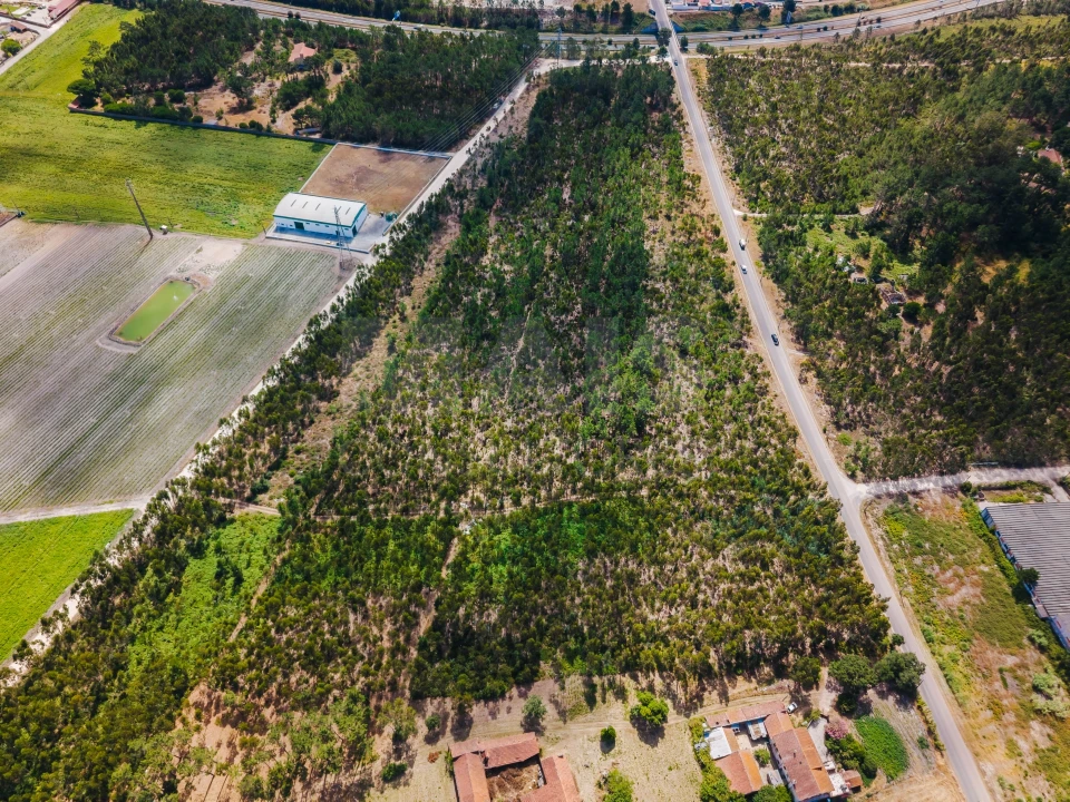 Terreno para Venda em Caldas da Rainha - Santo Onofre e Serra do Bouro Foto 10