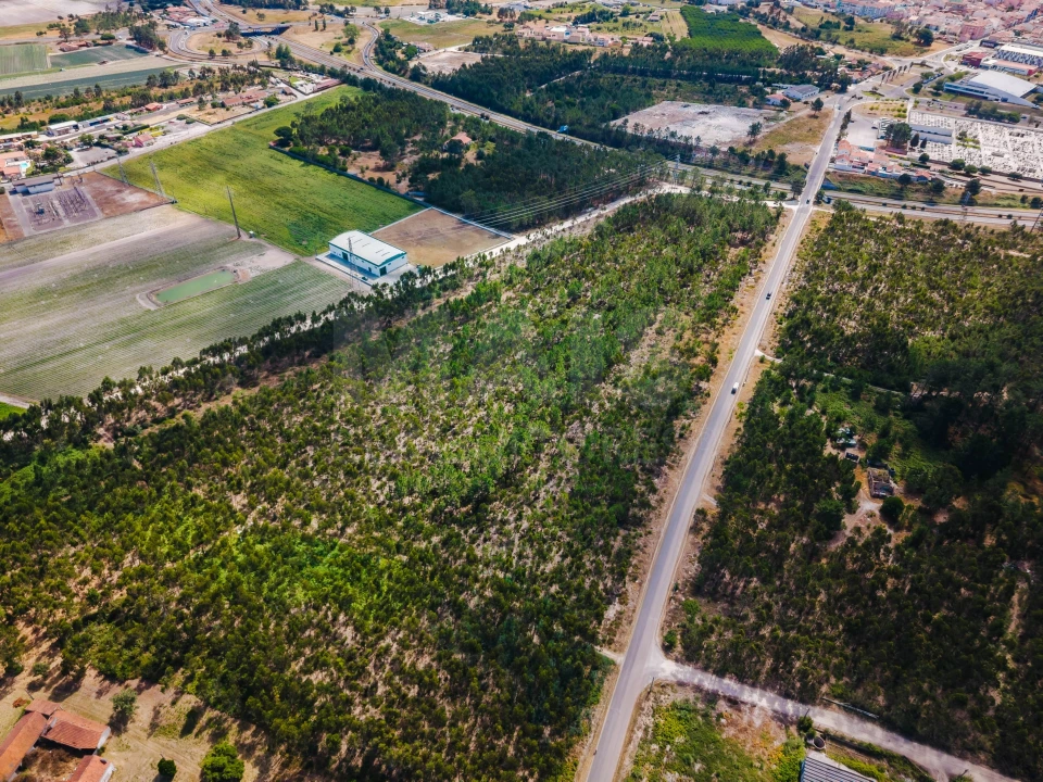 Terreno para Venda em Caldas da Rainha - Santo Onofre e Serra do Bouro Foto 9