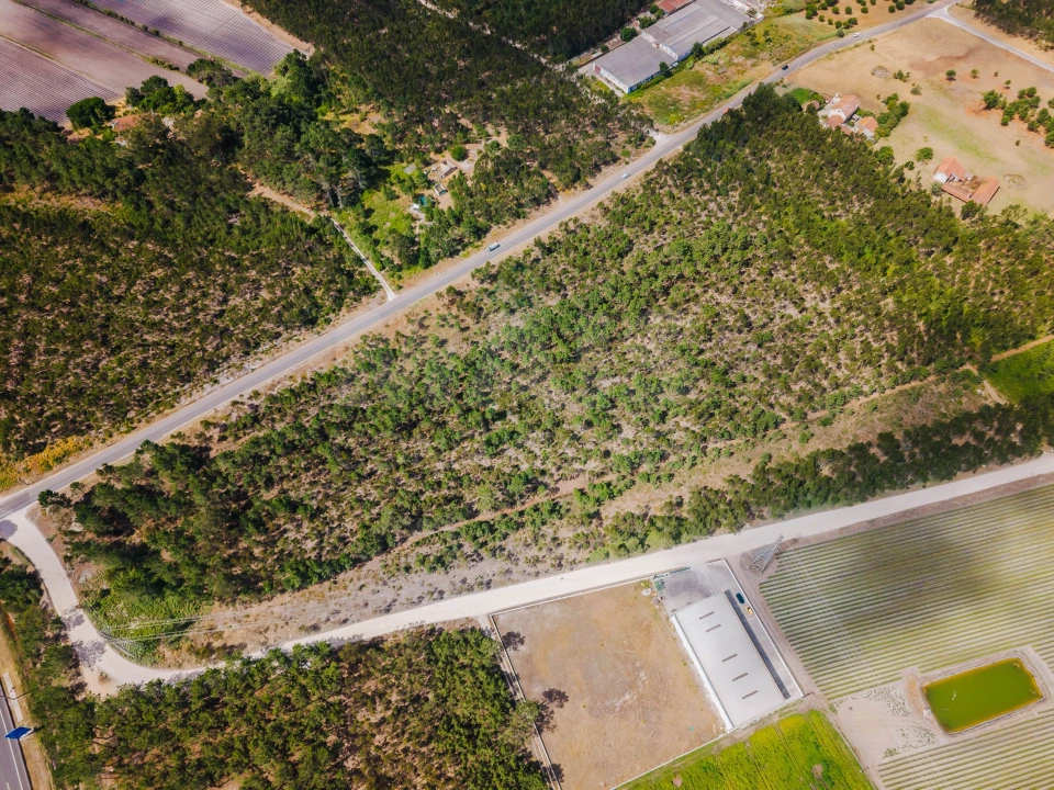 Terreno para Venda em Caldas da Rainha - Santo Onofre e Serra do Bouro Foto 2