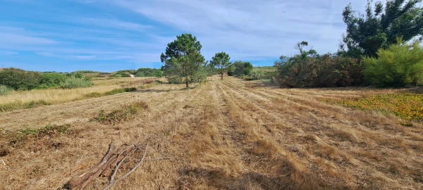 Terreno para Venda em São Martinho do Porto