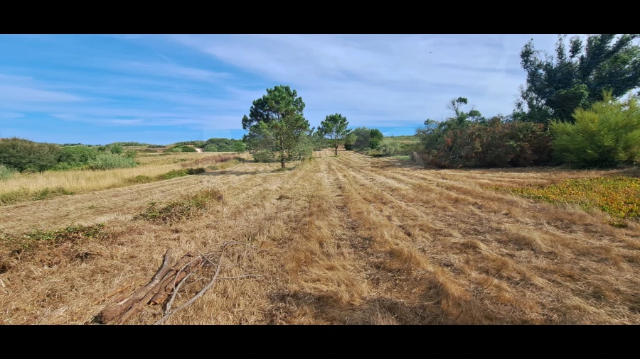 Terreno para Venda em São Martinho do Porto