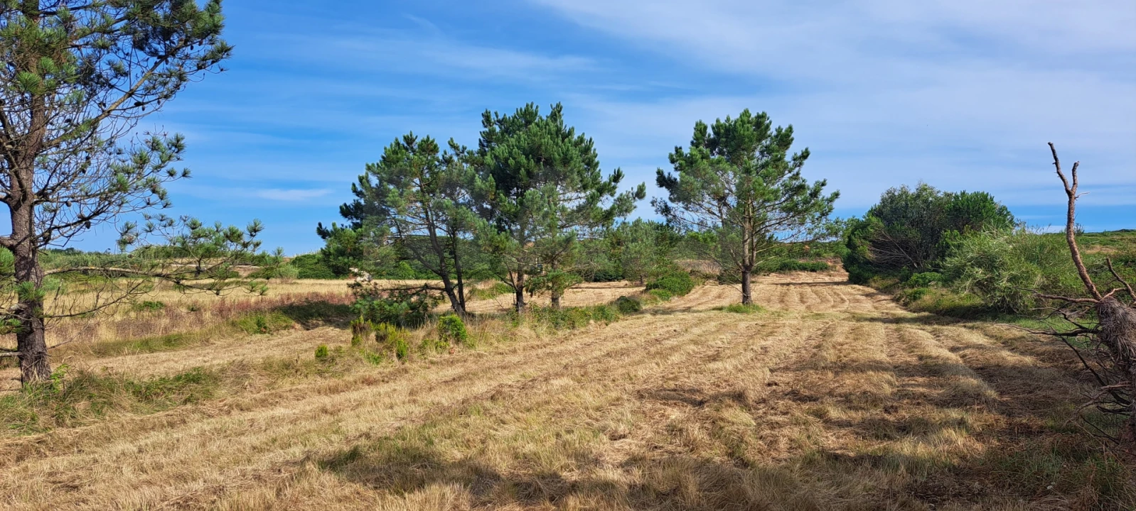 Terreno para Venda em São Martinho do Porto Foto 5