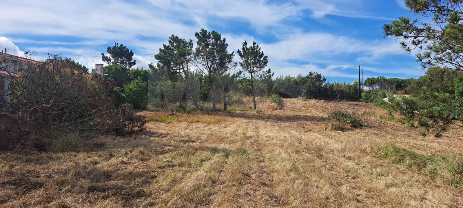 Terreno para Venda em São Martinho do Porto Foto 7