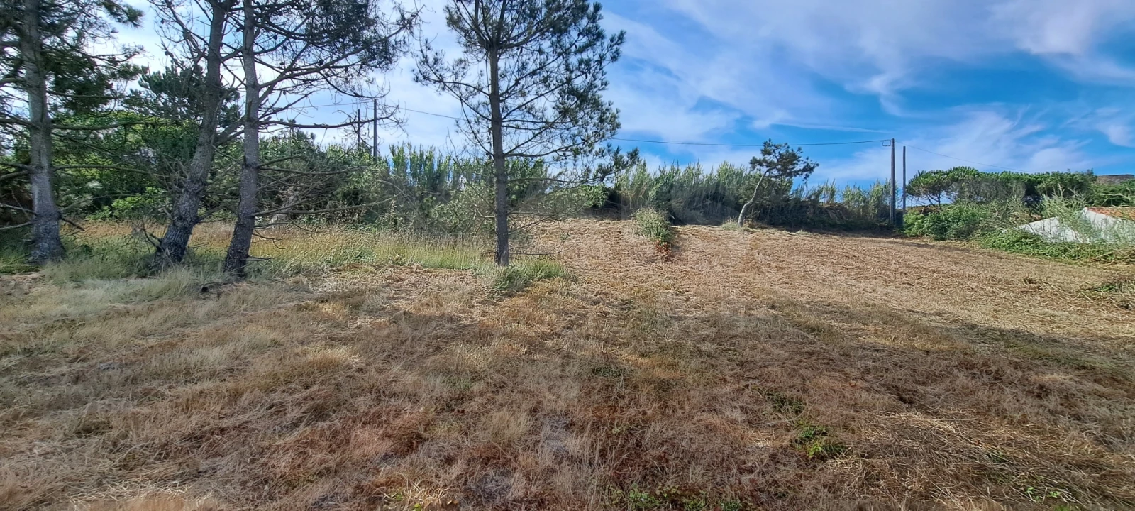 Terreno para Venda em São Martinho do Porto Foto 6