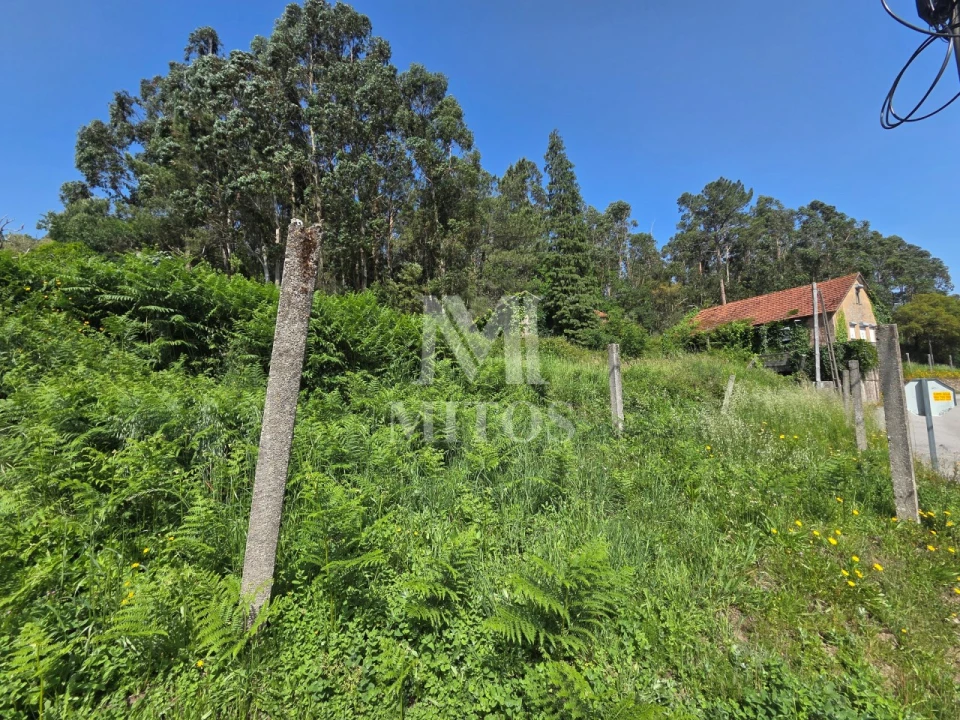 Moradia T3 para Venda em Mentrestido Foto 8