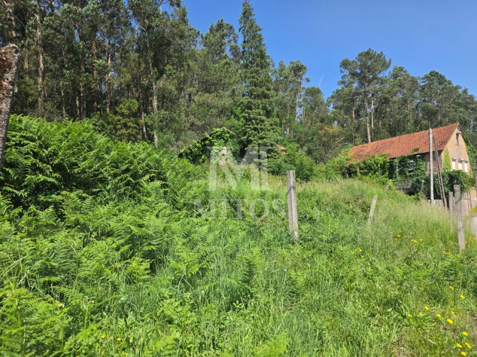 Moradia T3 para Venda em Mentrestido Foto 9