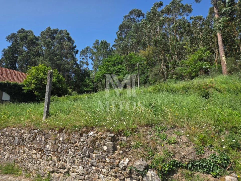 Moradia T3 para Venda em Mentrestido Foto 12