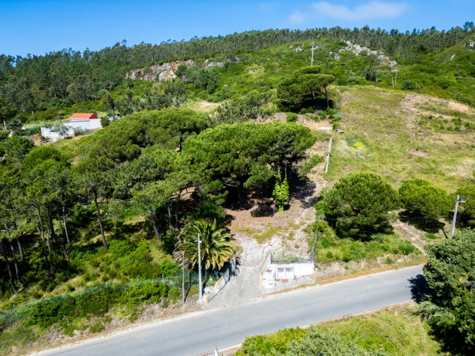 Terreno para Venda em Famalicão Foto 3
