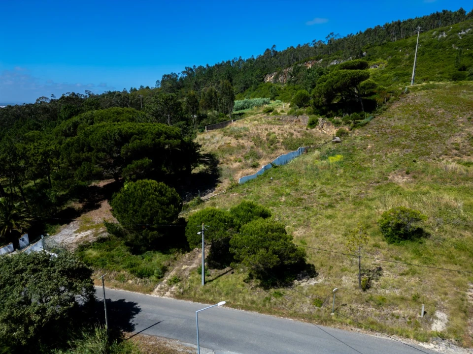 Terreno para Venda em Famalicão Foto 4