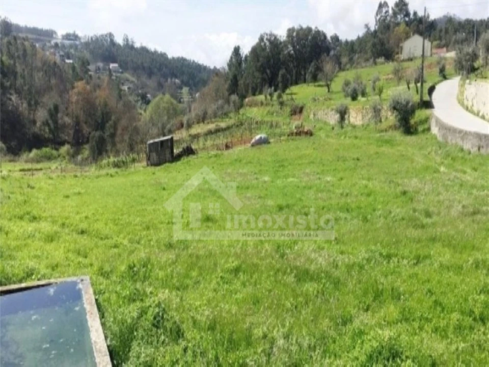 Terreno Misto para Venda em Figueiró dos Vinhos e Bairradas Foto 1