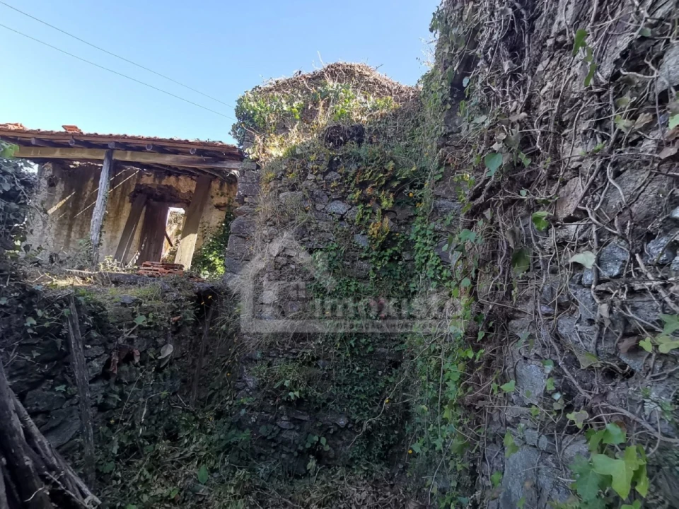 Quinta T1 para Venda em Arega Foto 9