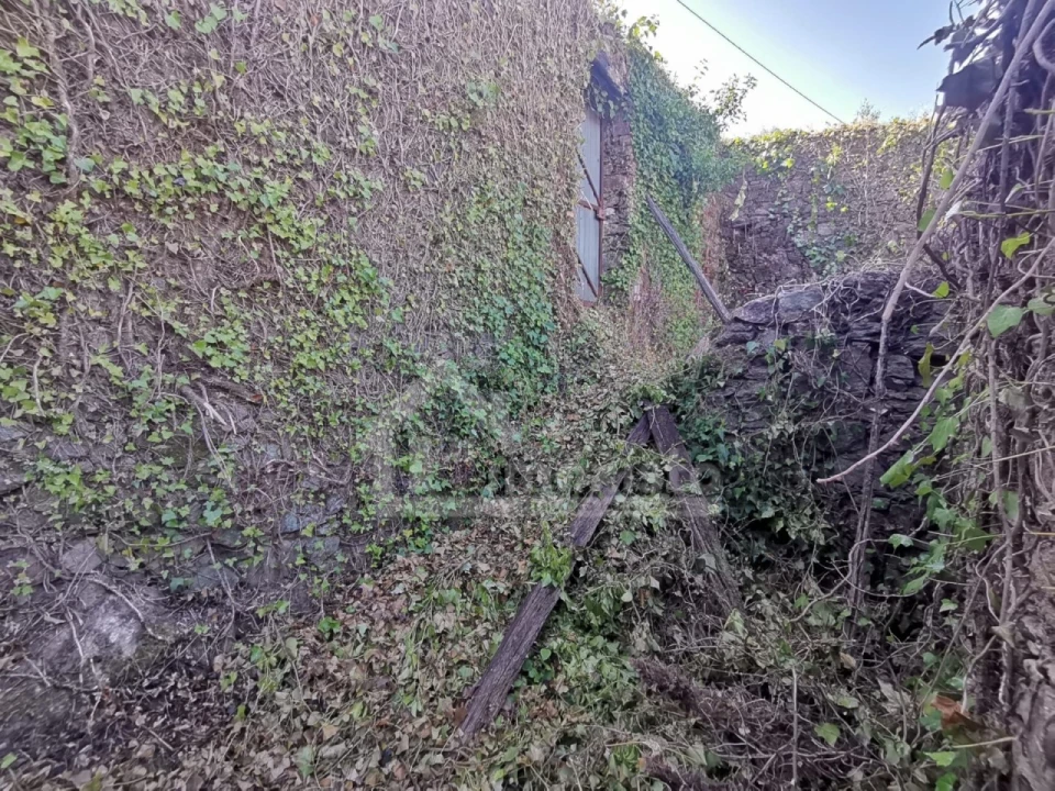 Quinta T1 para Venda em Arega Foto 10
