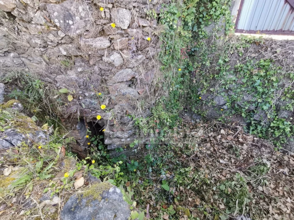 Quinta T1 para Venda em Arega Foto 11