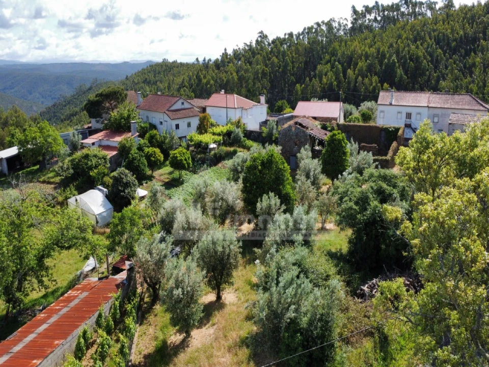 Quinta T1 para Venda em Arega Foto 15