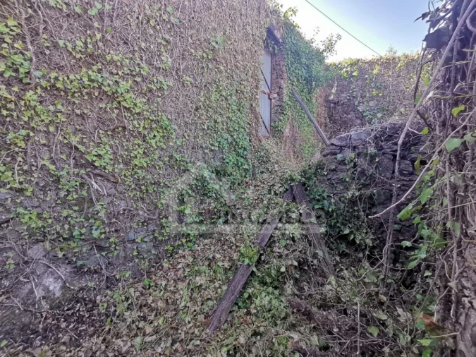 Quinta T1 para Venda em Arega Foto 10