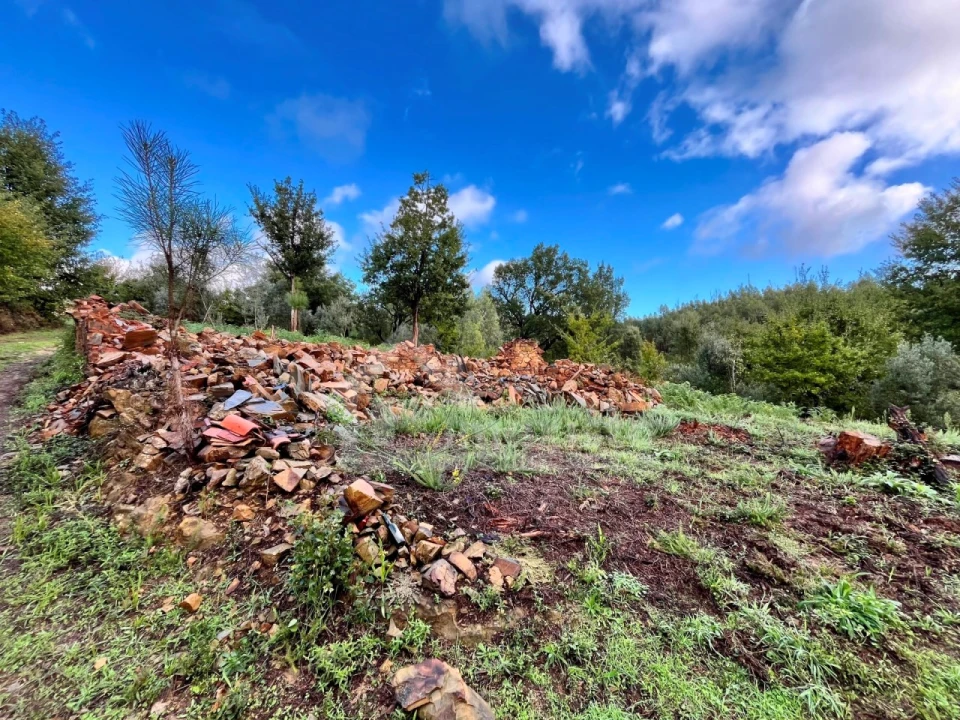 Terreno para Venda em Graça Foto 1