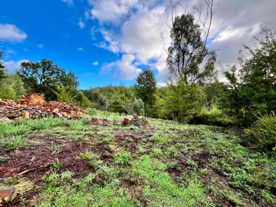 Terreno para Venda em Graça Foto 2