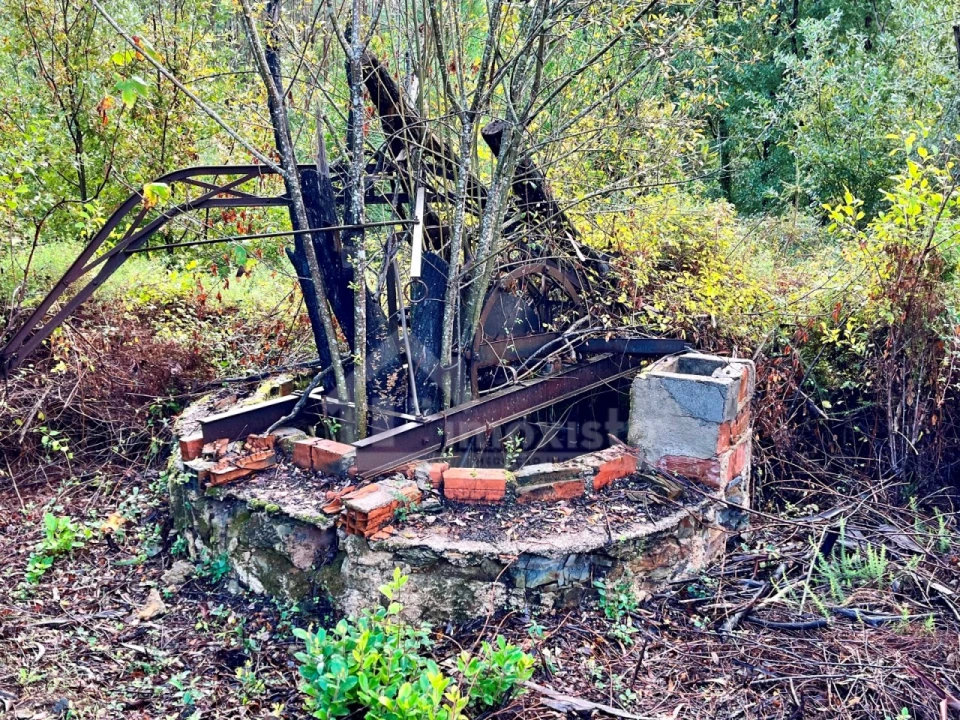 Terreno para Venda em Graça Foto 3