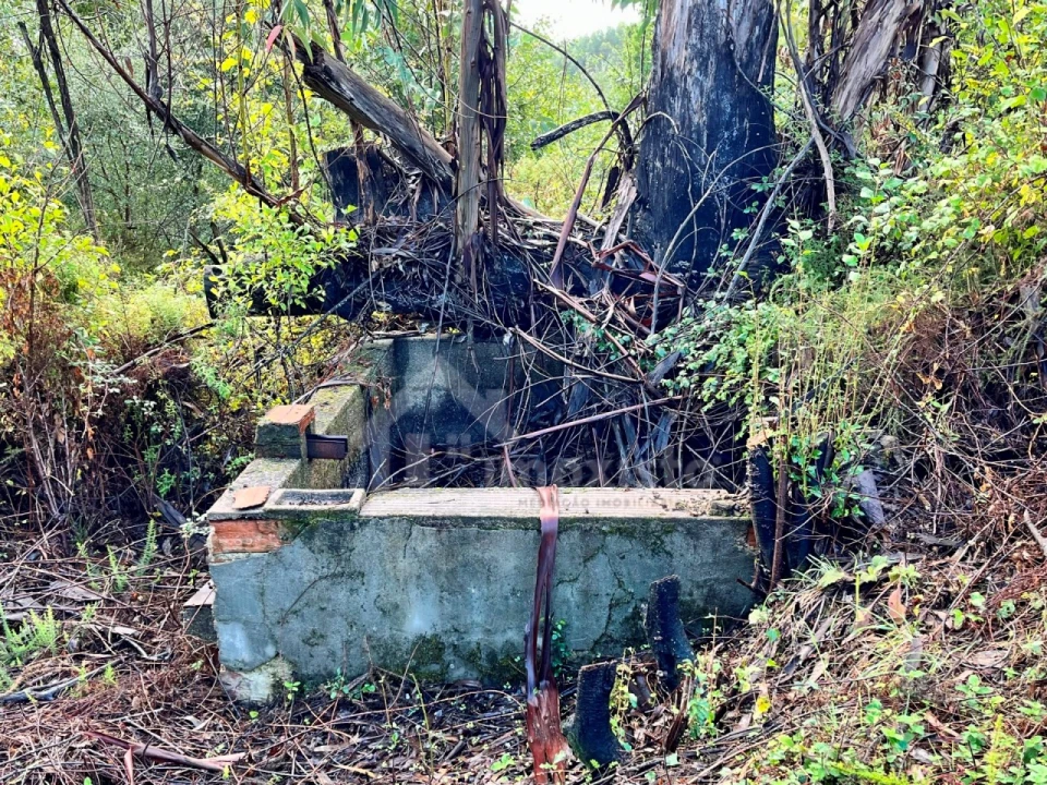Terreno para Venda em Graça Foto 4
