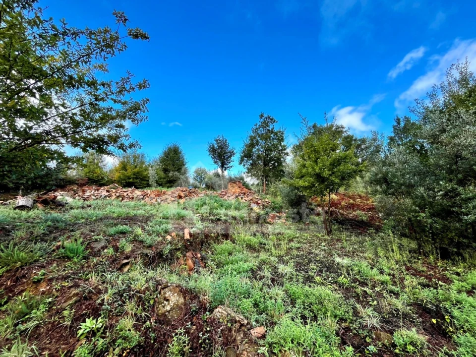 Terreno para Venda em Graça Foto 7