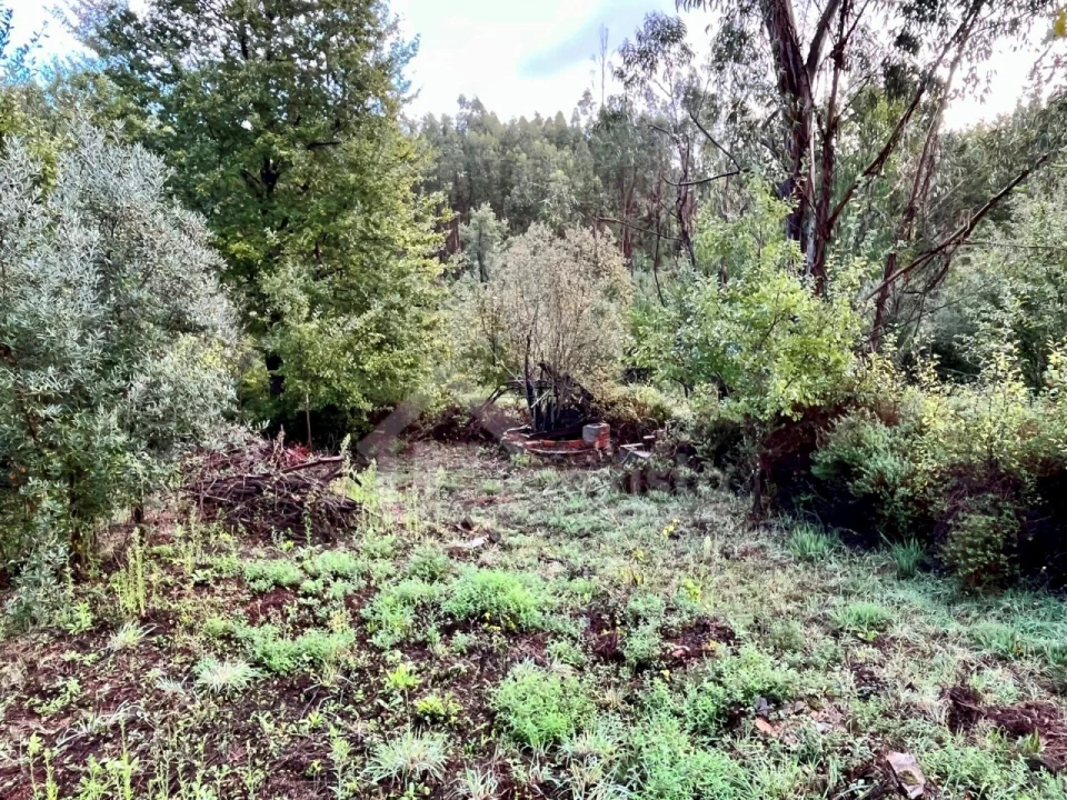 Terreno para Venda em Graça Foto 8