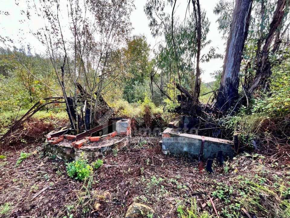 Terreno para Venda em Graça Foto 9