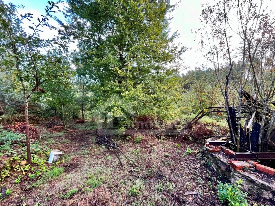 Terreno para Venda em Graça Foto 10
