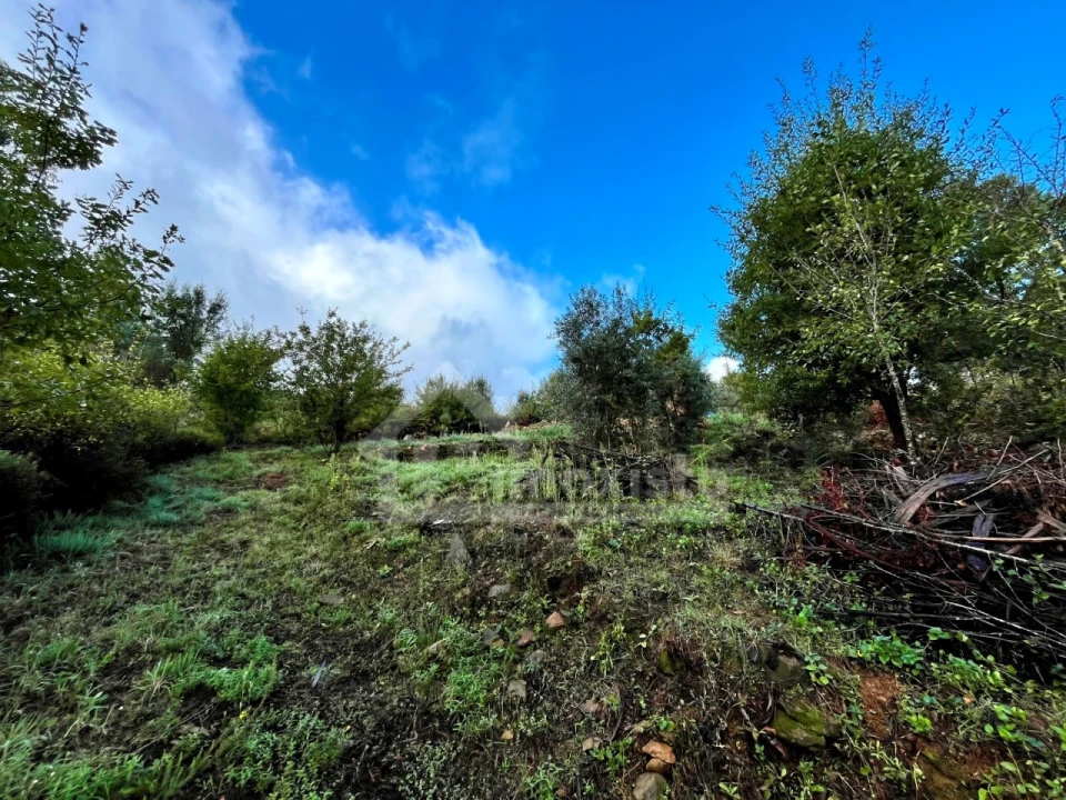 Terreno para Venda em Graça Foto 11