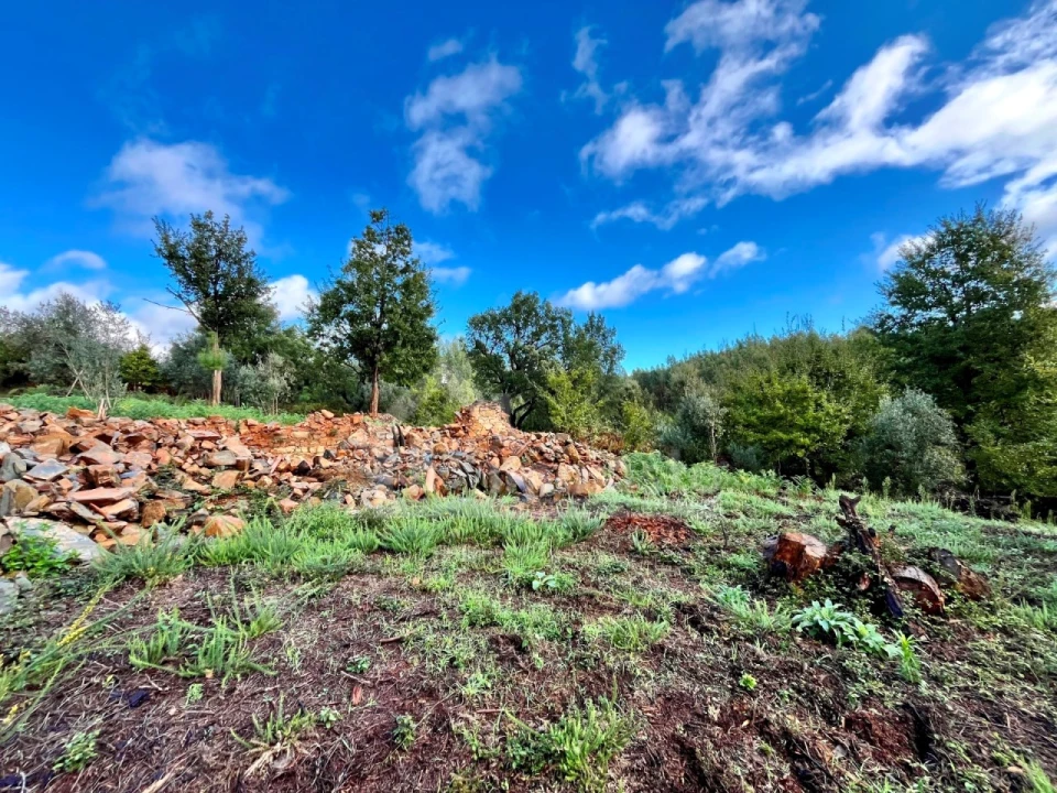 Terreno para Venda em Graça Foto 13