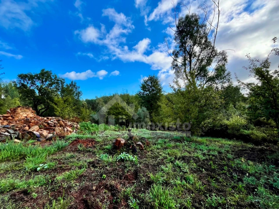 Terreno para Venda em Graça Foto 14
